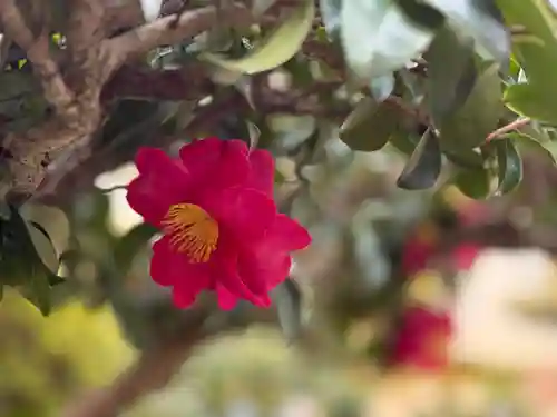 西方山極楽寺(岐阜県)