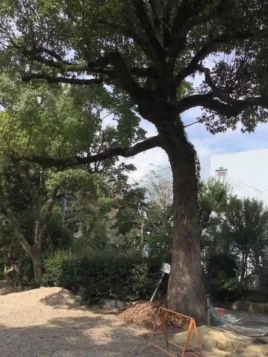 坂下神社の自然
