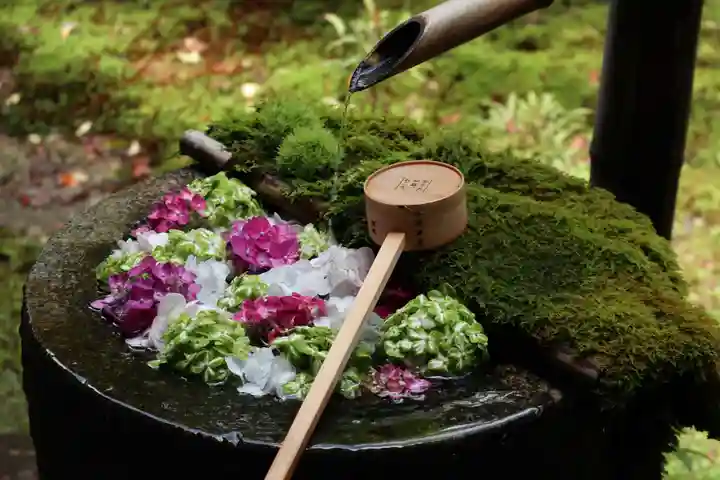 柳谷観音 楊谷寺の手水舎