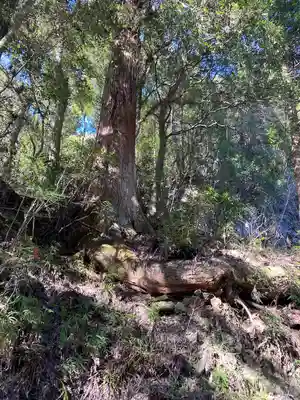 穴門山神社(岡山県)