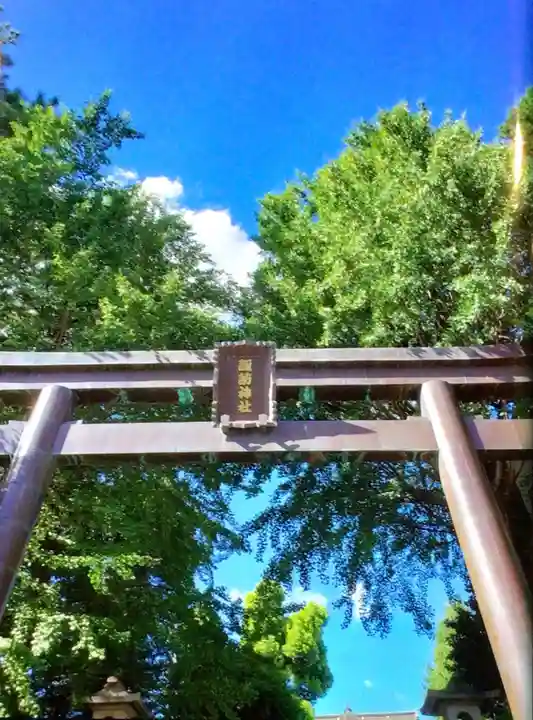 諏訪神社(東京都)