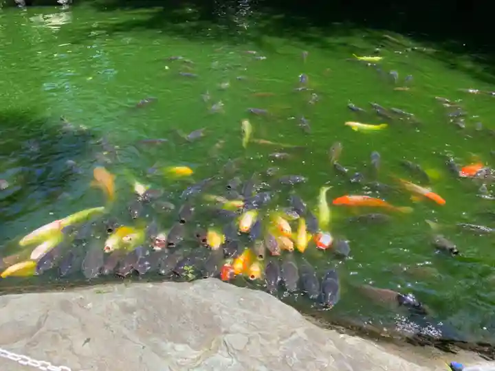 愛宕神社(東京都)