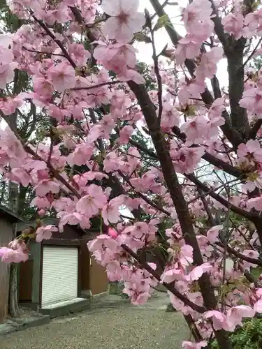 富部神社の自然
