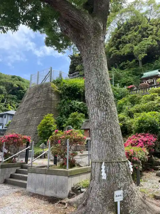 走水神社の{uncategorized: "未分類", other: "その他", undefined: "問題あり", building: "その他建物", grave: "お墓", sacred_gate: "鳥居", guardian: "狛犬", statue: "像", buddha: "仏像", history: "歴史", nature: "自然", garden: "庭園", animal: "動物", pagoda: "塔", temizu: "手水舎", mountain_gate: "山門・神門", sanctuary: "本殿・本堂", subordinate: "末社・摂社", art: "芸術", scenery: "景色", jizo: "地蔵", ema: "絵馬", goshuin: "御朱印", omikuji: "おみくじ", items: "授与品その他", amulet: "お守り", goshuincho: "御朱印帳", eats: "食事", festival: "お祭り", votive_dance: "神楽", shichigosan: "七五三参", wedding: "結婚式", experience: "体験その他", initially: "初詣", around: "周辺", anti_infection: "感染症対策"}