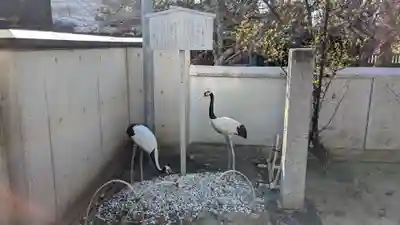 三津厳島神社(愛媛県)