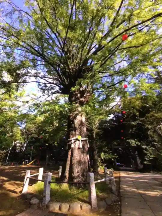 赤坂氷川神社(東京都)