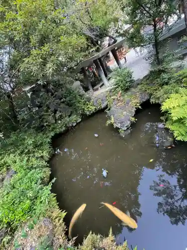 進雄神社(群馬県)