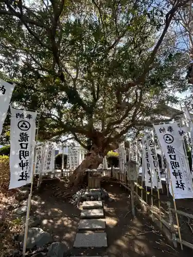 龍口明神社の{uncategorized: "未分類", other: "その他", undefined: "問題あり", building: "その他建物", grave: "お墓", sacred_gate: "鳥居", guardian: "狛犬", statue: "像", buddha: "仏像", history: "歴史", nature: "自然", garden: "庭園", animal: "動物", pagoda: "塔", temizu: "手水舎", mountain_gate: "山門・神門", sanctuary: "本殿・本堂", subordinate: "末社・摂社", art: "芸術", scenery: "景色", jizo: "地蔵", ema: "絵馬", goshuin: "御朱印", omikuji: "おみくじ", items: "授与品その他", amulet: "お守り", goshuincho: "御朱印帳", eats: "食事", festival: "お祭り", votive_dance: "神楽", shichigosan: "七五三参", wedding: "結婚式", experience: "体験その他", initially: "初詣", around: "周辺", anti_infection: "感染症対策"}