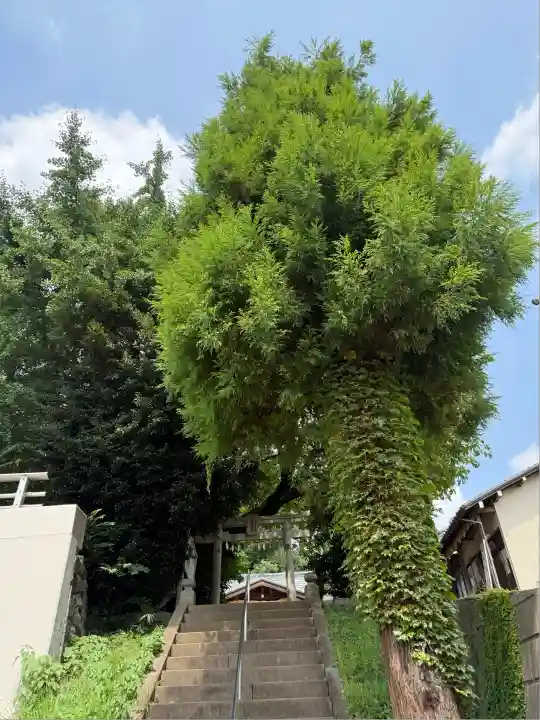九重神社(埼玉県)