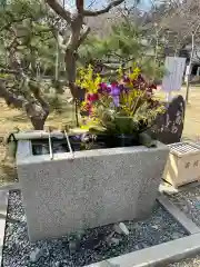 茨城縣護國神社(茨城県)