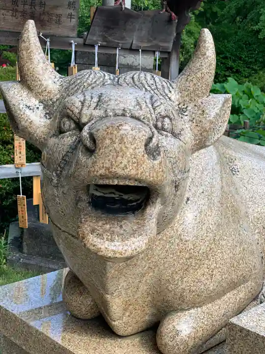 三室戸寺の狛犬