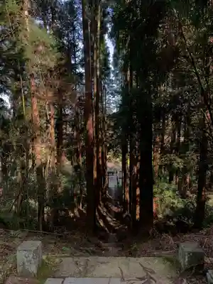 白山神社の自然