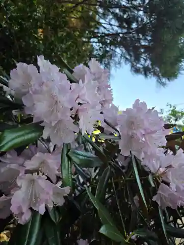 高千穂神社(宮崎県)