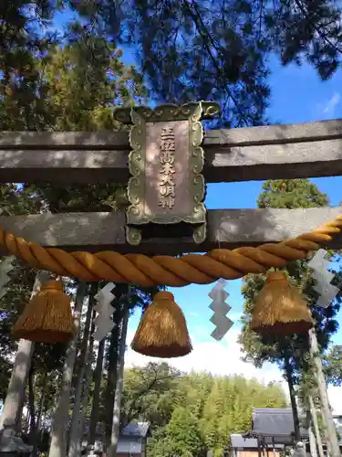 高木神社(滋賀県)