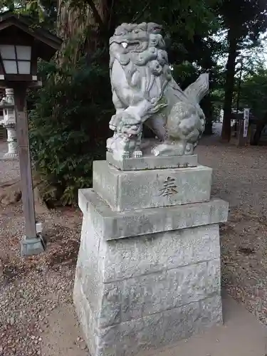 岩槻久伊豆神社の狛犬