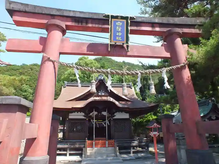 白鬚神社(滋賀県)