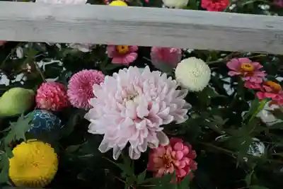 豊景神社の手水舎