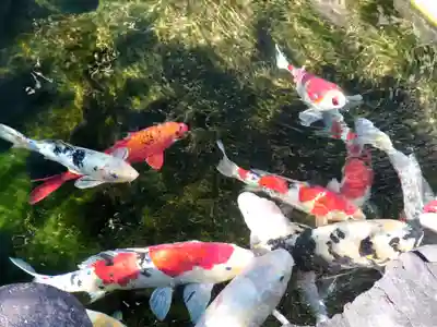甚行寺(神奈川県)