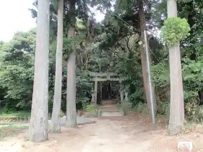 八雲神社の自然