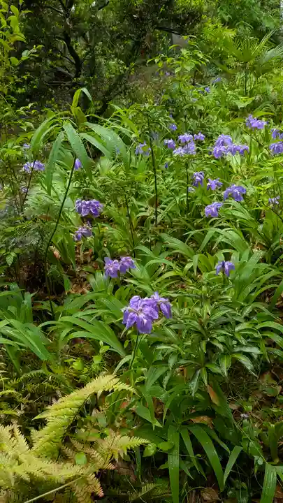御霊神社(上御霊神社)(京都府)