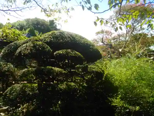 極楽寺（霊鷲山感應院極楽律寺）の庭園