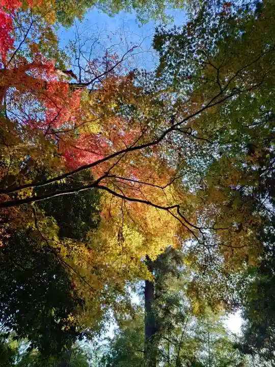 常陸國總社宮(茨城県)