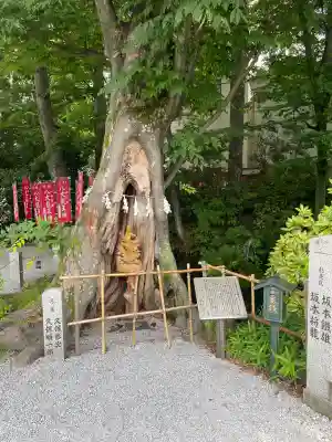 秩父今宮神社(埼玉県)