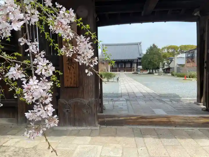 妙覺寺(妙覚寺)(京都府)