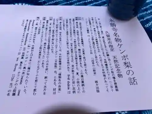 永勝寺の授与品その他