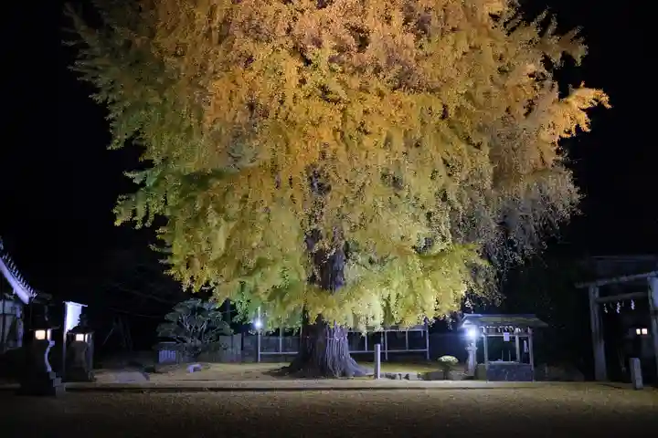 丹生酒殿神社の自然