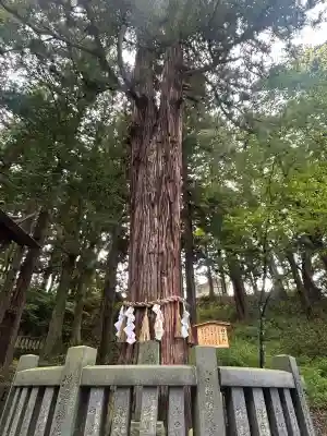 諏訪大社下社春宮(長野県)