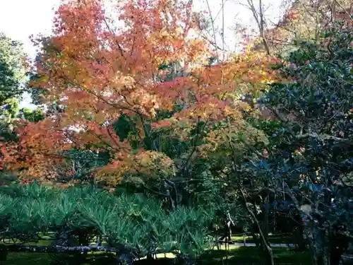 即宗院の建物その他