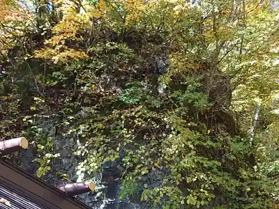 戸隠神社奥社(長野県)