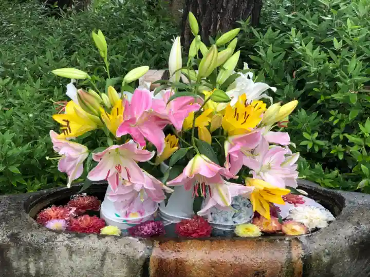 伊和志津神社の手水舎