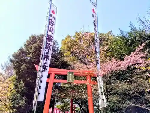 吉川稲荷神社の鳥居