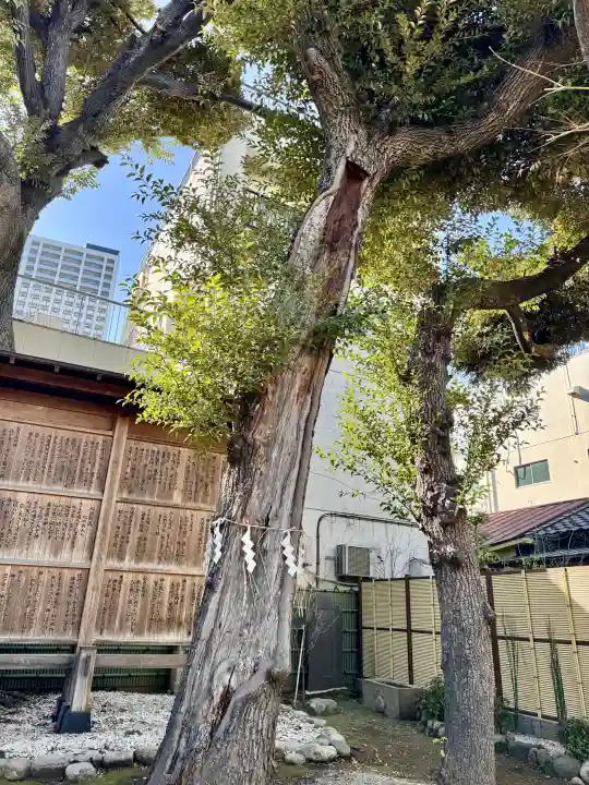 東神社の{uncategorized: "未分類", other: "その他", undefined: "問題あり", building: "その他建物", grave: "お墓", sacred_gate: "鳥居", guardian: "狛犬", statue: "像", buddha: "仏像", history: "歴史", nature: "自然", garden: "庭園", animal: "動物", pagoda: "塔", temizu: "手水舎", mountain_gate: "山門・神門", sanctuary: "本殿・本堂", subordinate: "末社・摂社", art: "芸術", scenery: "景色", jizo: "地蔵", ema: "絵馬", goshuin: "御朱印", omikuji: "おみくじ", items: "授与品その他", amulet: "お守り", goshuincho: "御朱印帳", eats: "食事", festival: "お祭り", votive_dance: "神楽", shichigosan: "七五三参", wedding: "結婚式", experience: "体験その他", initially: "初詣", around: "周辺", anti_infection: "感染症対策"}