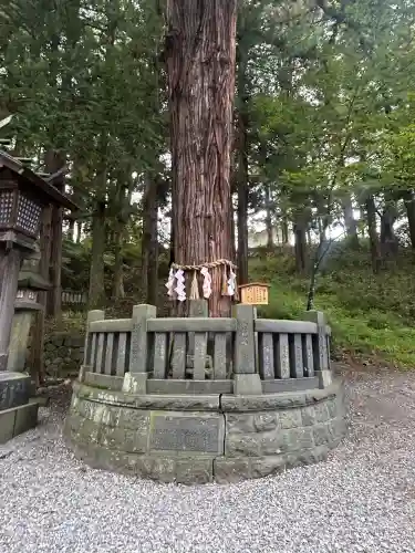 諏訪大社下社春宮(長野県)