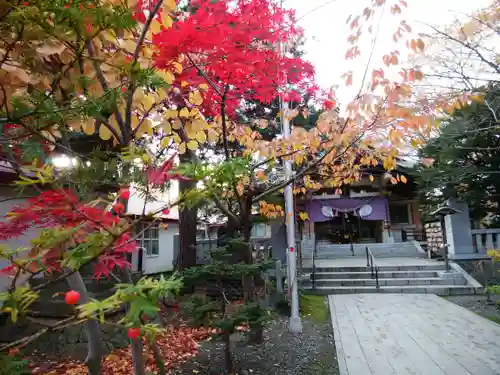 彌彦神社　(伊夜日子神社)の自然