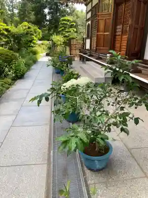 松嶺院(神奈川県)