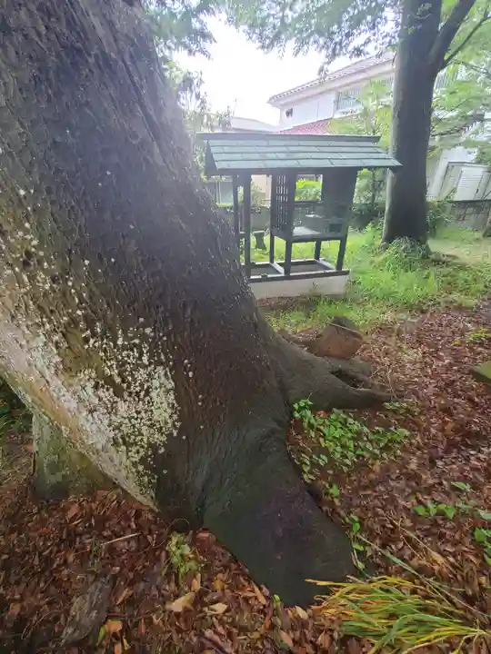 愛宕神社(茨城県)