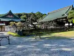 大光院 新田寺(群馬県)