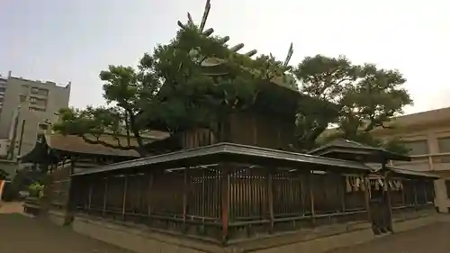 今宮戎神社の本殿