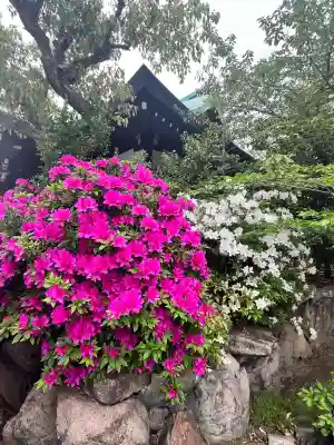 七宮神社の{uncategorized: "未分類", other: "その他", undefined: "問題あり", building: "その他建物", grave: "お墓", sacred_gate: "鳥居", guardian: "狛犬", statue: "像", buddha: "仏像", history: "歴史", nature: "自然", garden: "庭園", animal: "動物", pagoda: "塔", temizu: "手水舎", mountain_gate: "山門・神門", sanctuary: "本殿・本堂", subordinate: "末社・摂社", art: "芸術", scenery: "景色", jizo: "地蔵", ema: "絵馬", goshuin: "御朱印", omikuji: "おみくじ", items: "授与品その他", amulet: "お守り", goshuincho: "御朱印帳", eats: "食事", festival: "お祭り", votive_dance: "神楽", shichigosan: "七五三参", wedding: "結婚式", experience: "体験その他", initially: "初詣", around: "周辺", anti_infection: "感染症対策"}