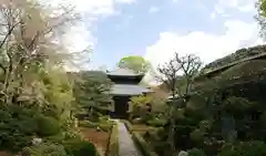 安楽寺(京都府)