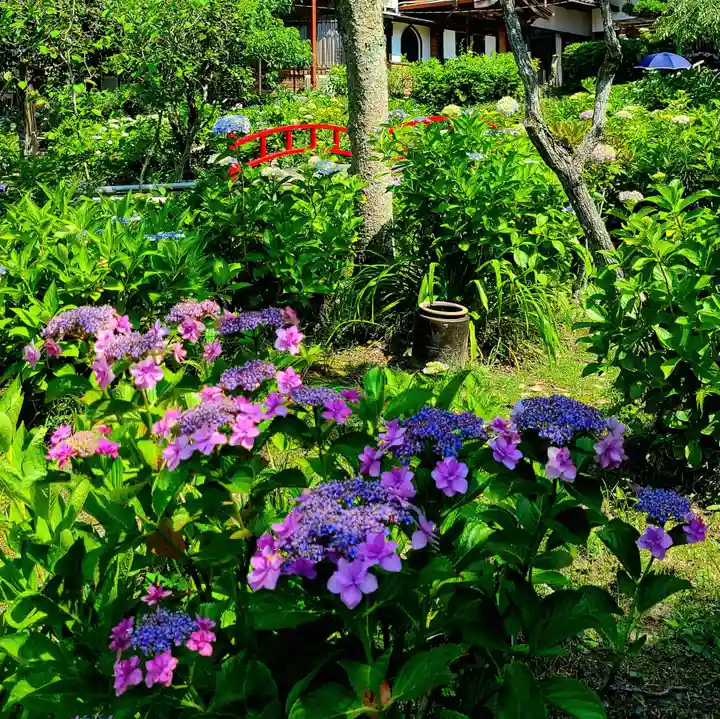 極楽寺(静岡県)