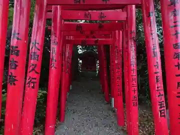 住吉稲荷大明神の鳥居