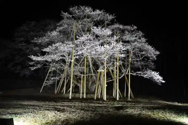 淡墨観音(岐阜県)