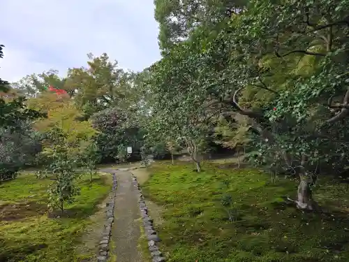 霊鑑寺門跡(京都府)