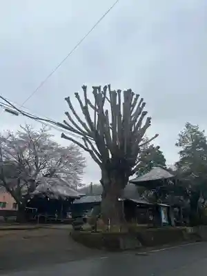 祐照庵 大戸観音堂(東京都)