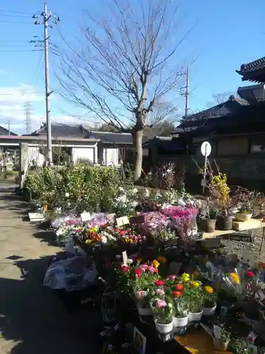 北斗寺の庭園